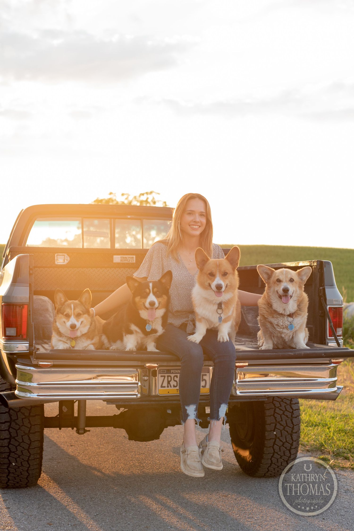 A pickup truck tailgate scene at sunset featuring four happy Corgi dogs and their companion enjoying the golden hour.