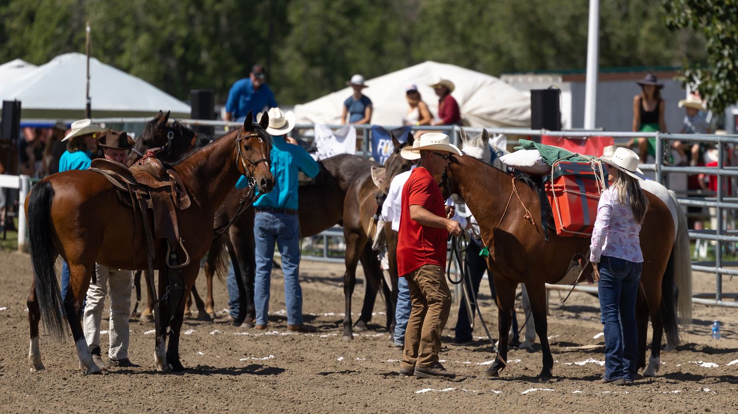 Pack Horse Race, Millarville Ab