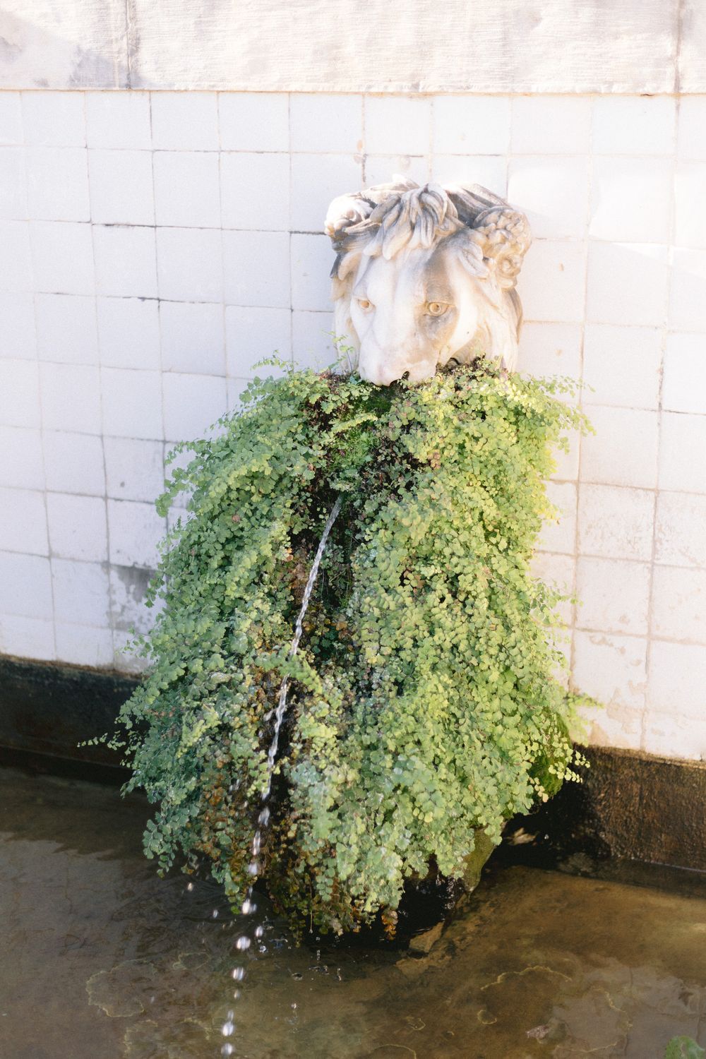 Pormenor de fonte no Hotel Quinta das Lágrimas em Coimbra