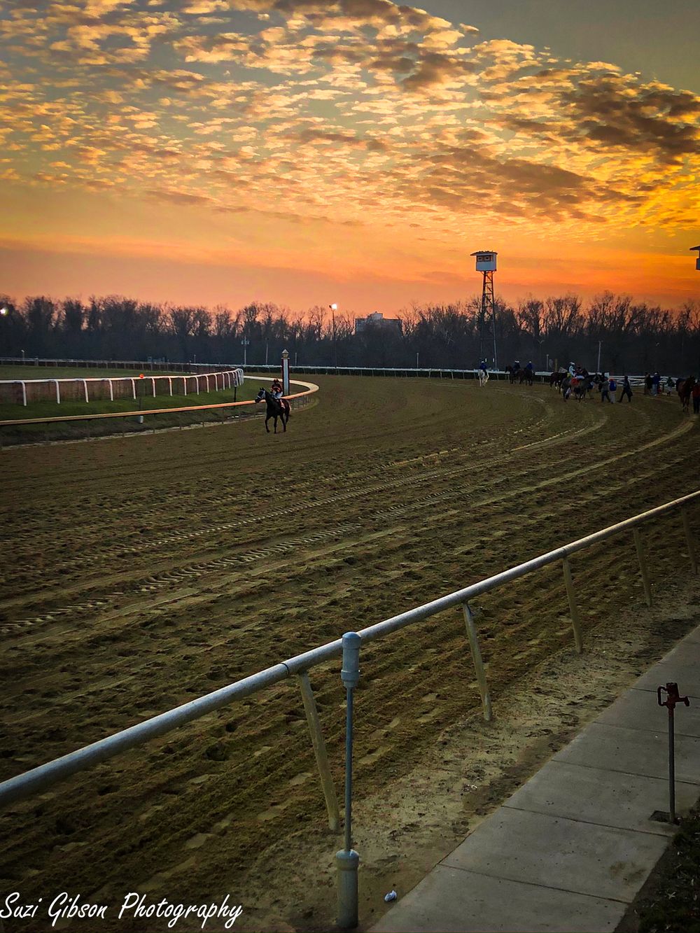 laurel park racetrack horseracing game action photo coverage maryland dmv suzi gibson photography
