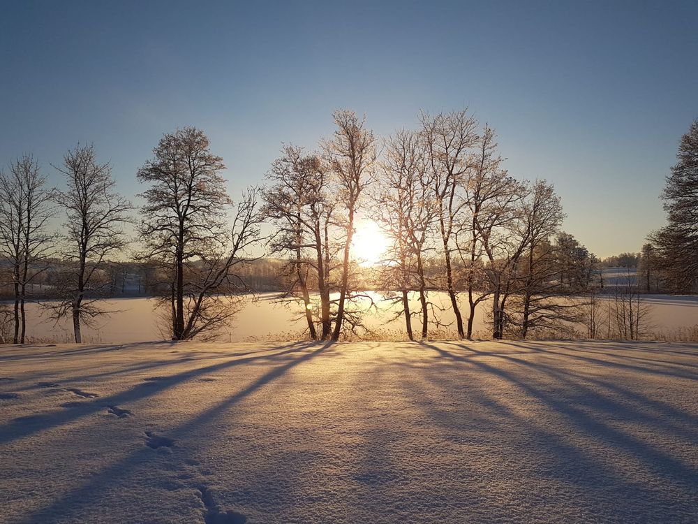 winter landscape