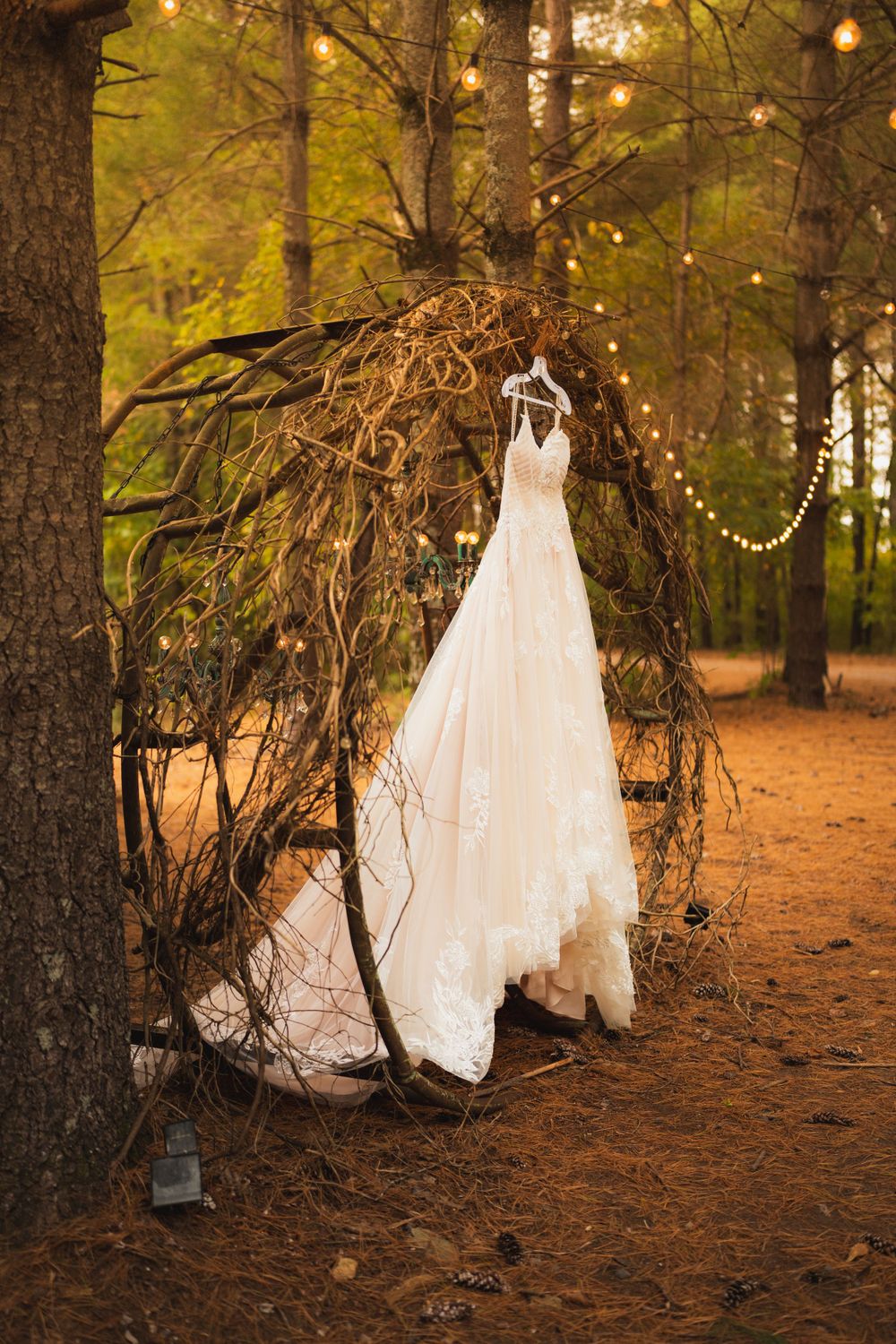 Wedding Photo