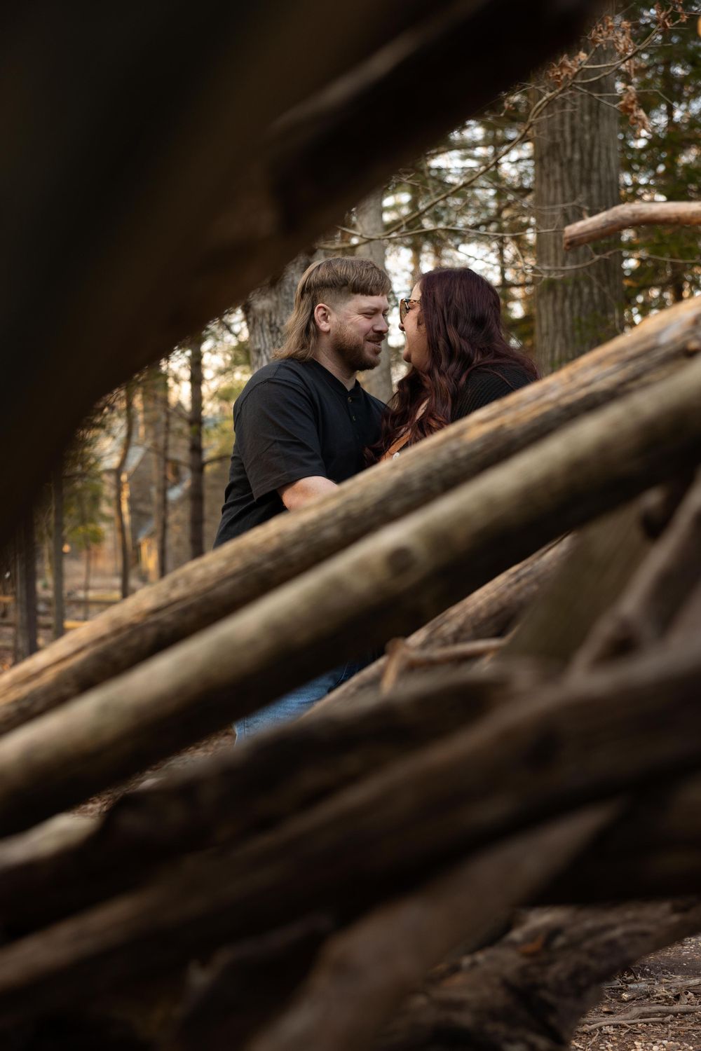 An intimate forest scene framed by fallen branches and pine trees.