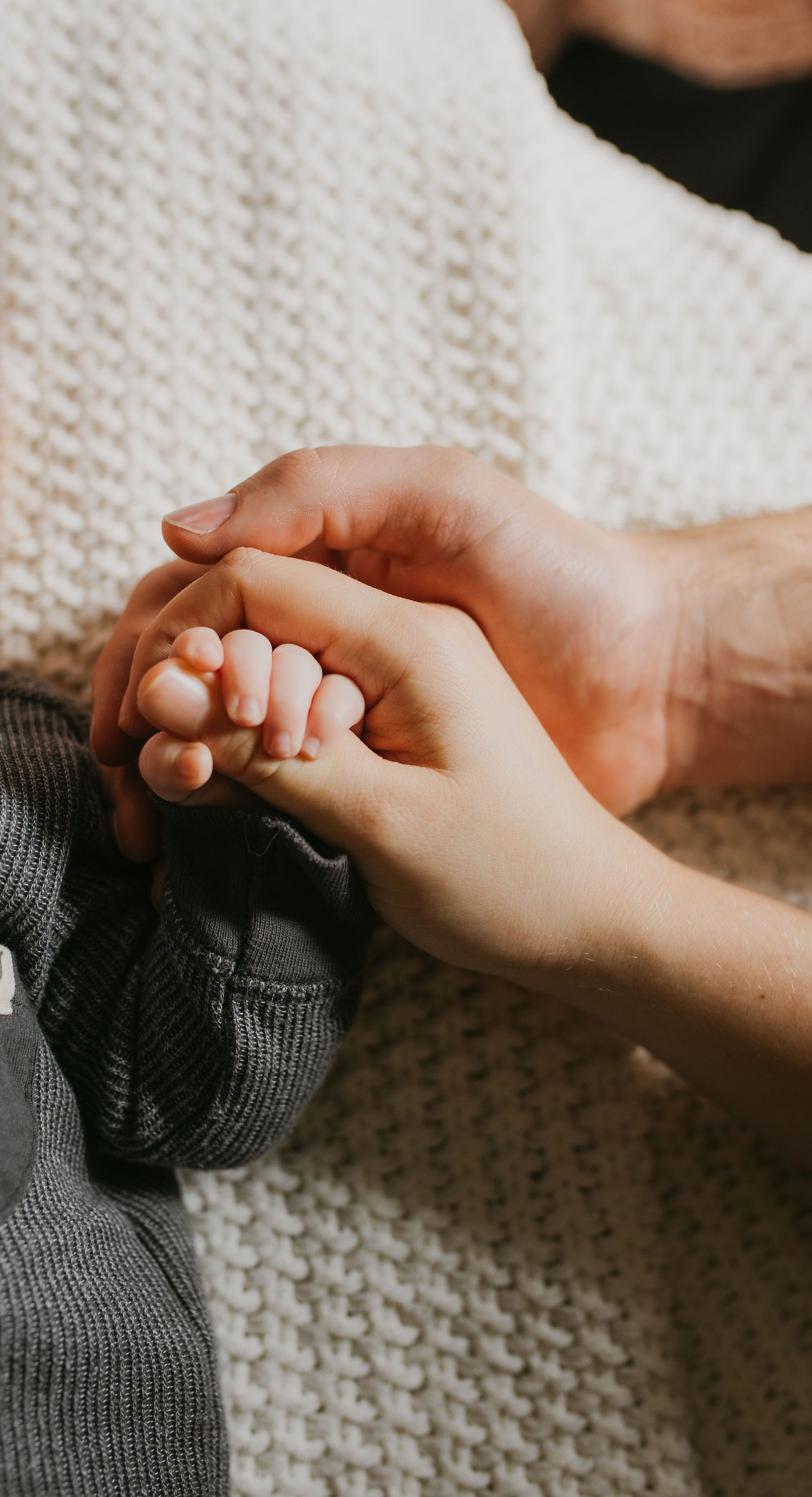 knoxville newborn photography