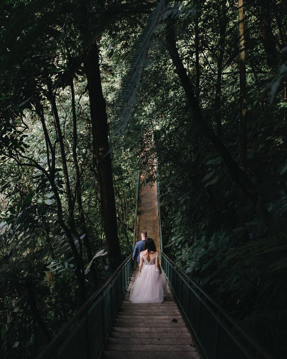 A couple descends a wooden staircase surrounded by lush forest canopy.