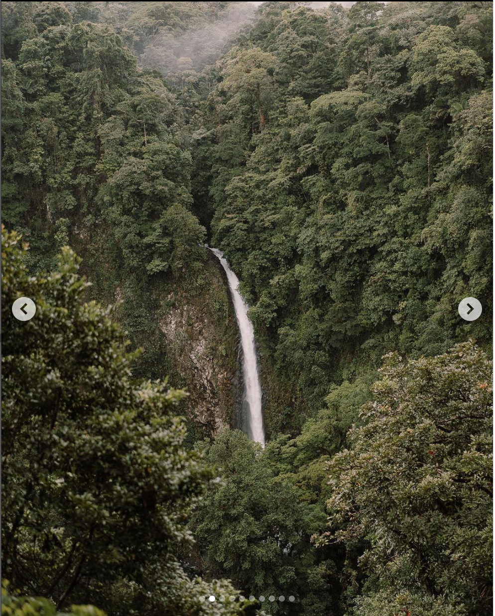 Tall waterfall cascading through lush green forest in tropical setting.