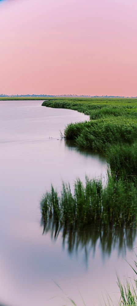 Serene marshland with green grass reflecting in still water under a pink sky.