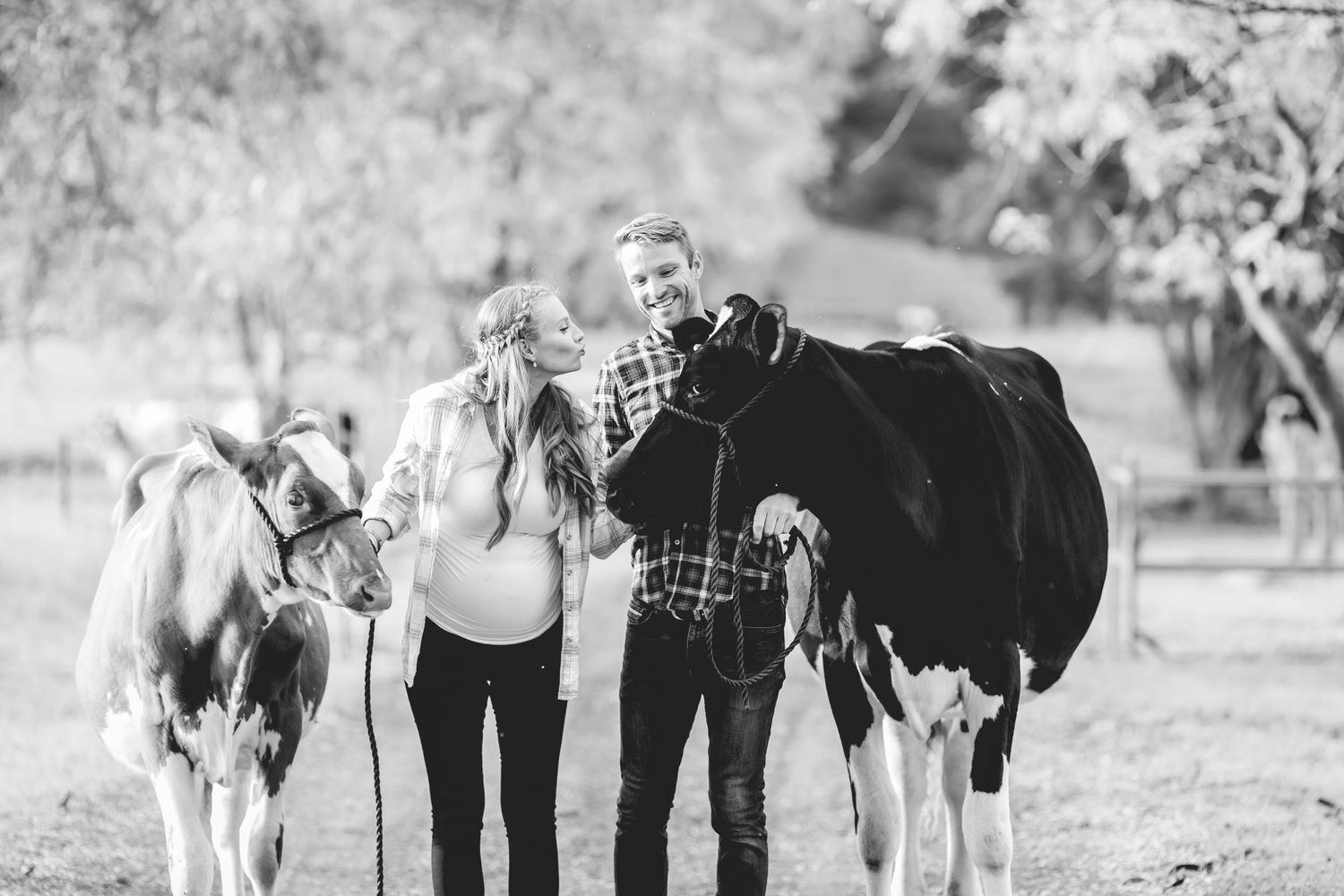 Family posing with dairy calves in black and white rustic farm setting.