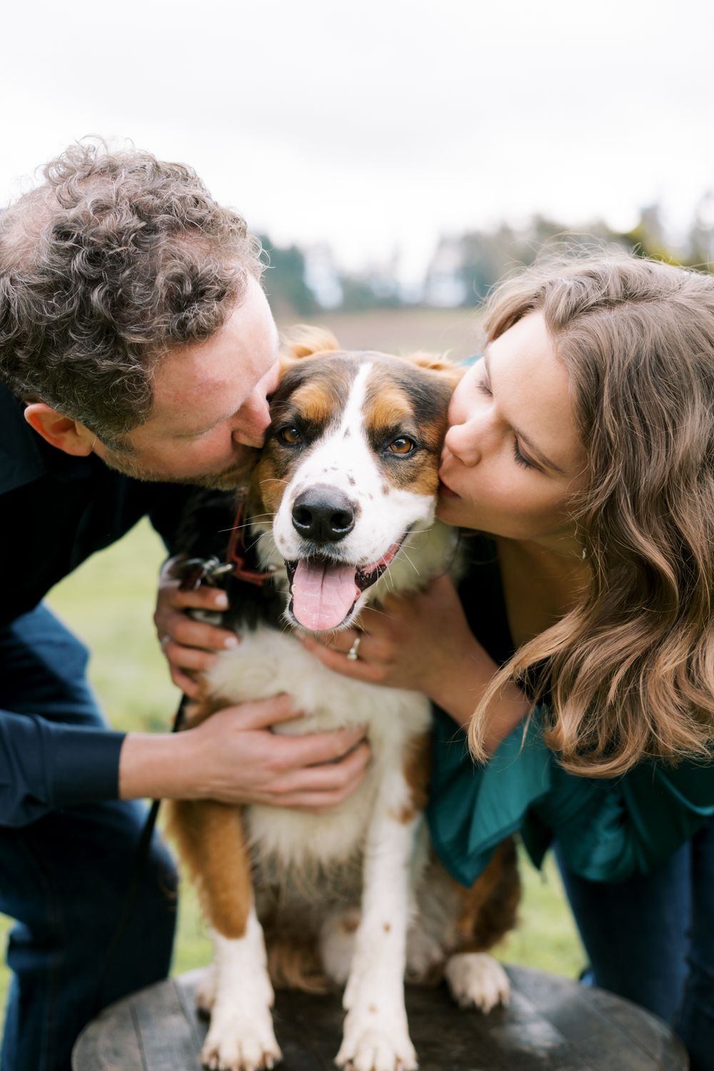 Happy couple kissing their smiling brown and white dog on both cheeks outdoors.