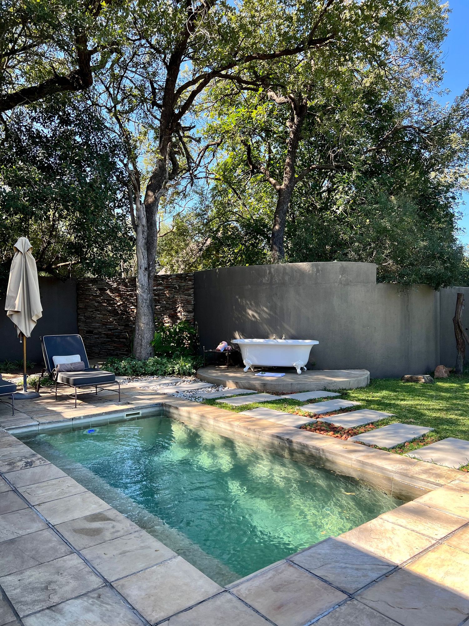 Modern swimming pool with stone paver deck surrounded by trees and landscaping in a tranquil backyard setting.