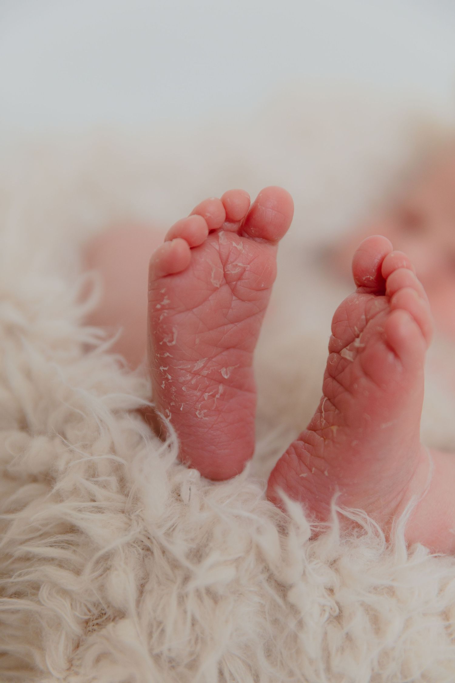 Tiny newborn baby feet resting on soft white fur blanket in gentle lighting.