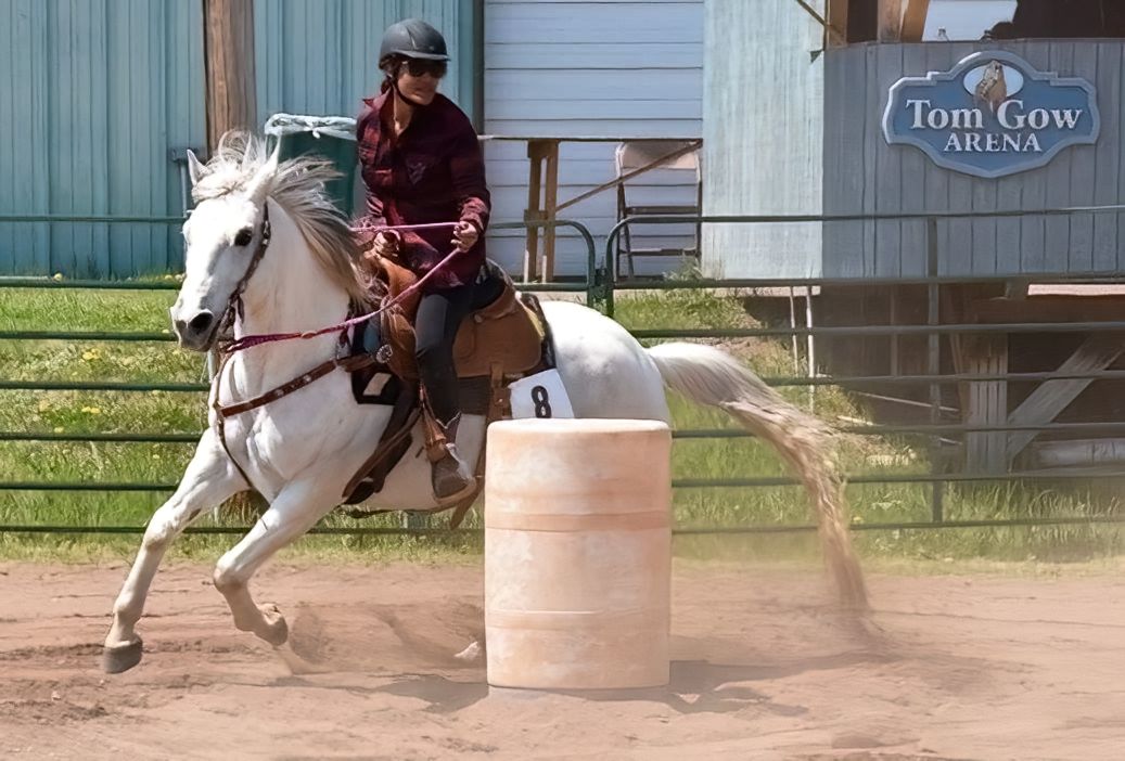 equine