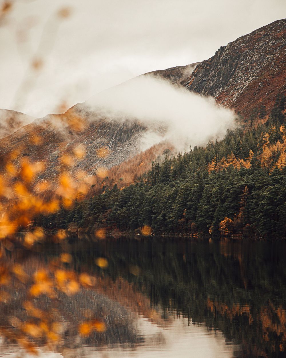 Glendalough, Brayden John