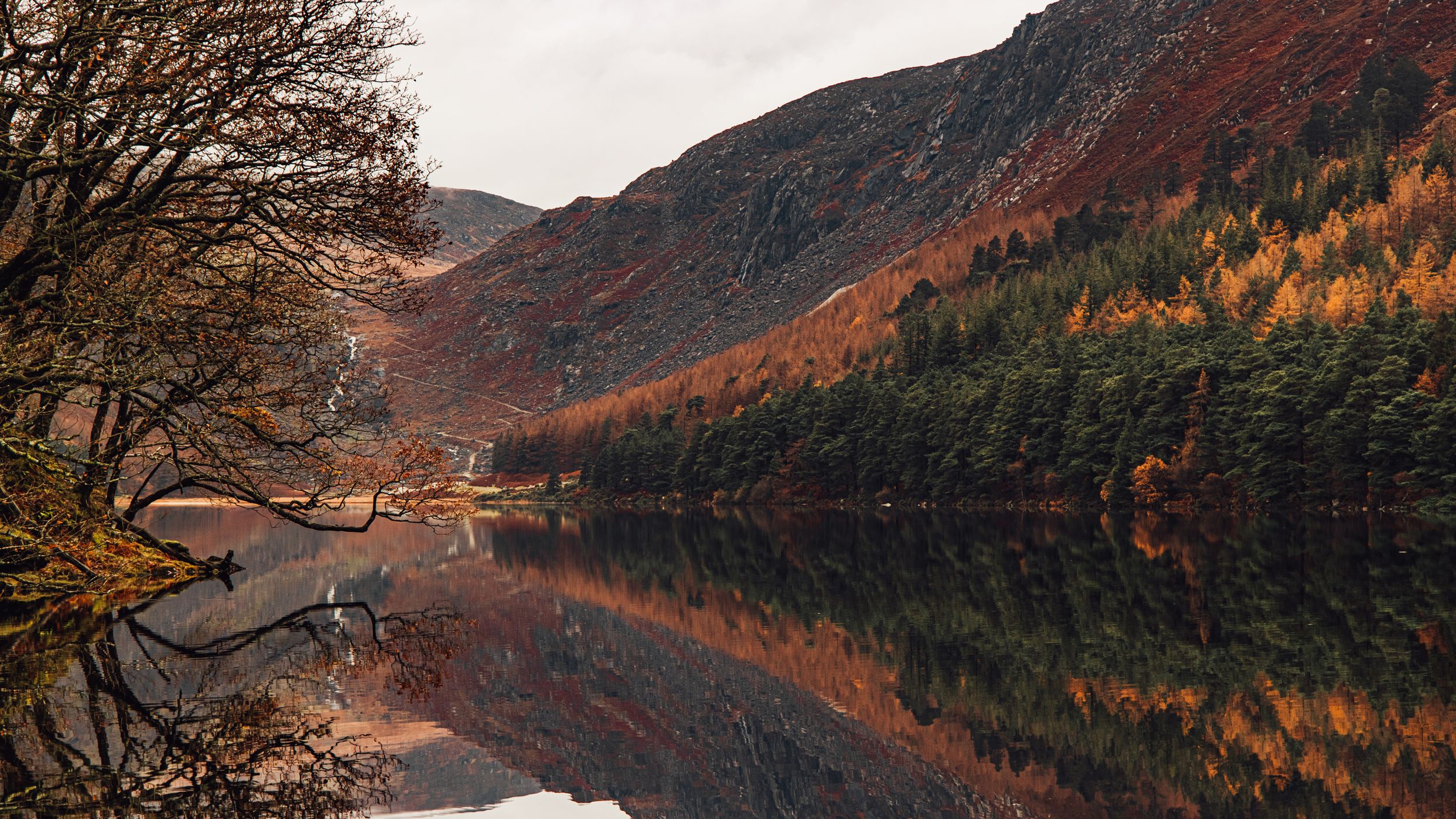 Glendalough 3, Brayden John