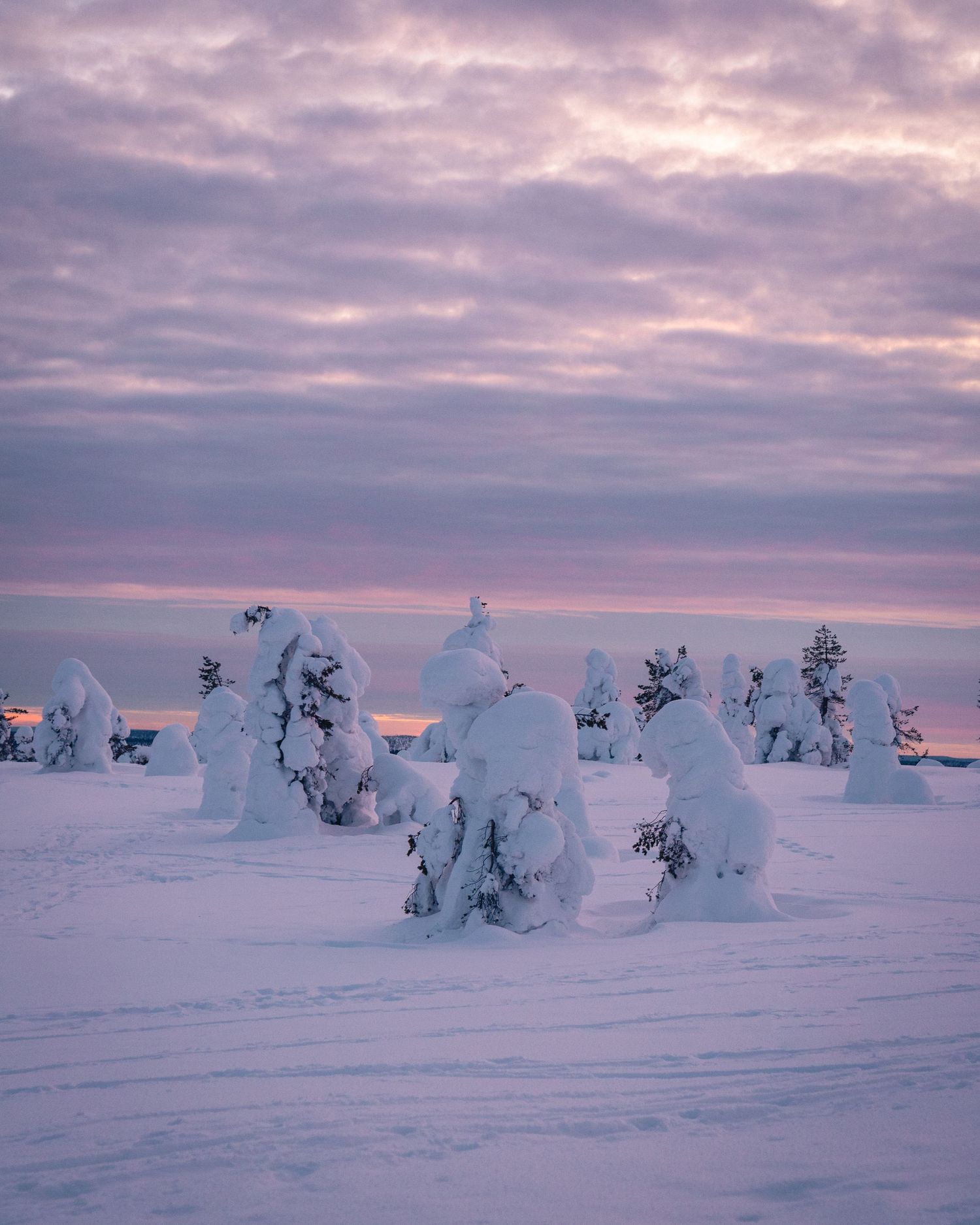 Kuusamo en Finlande, blog voyage et photos par Julie Fox Photography - Laponie
