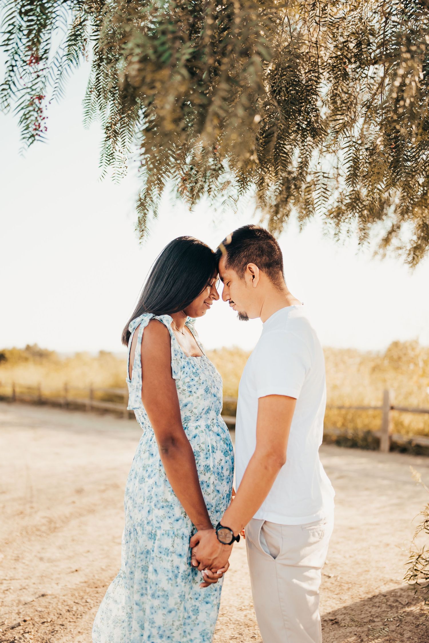 cincinnati maternity photographer
