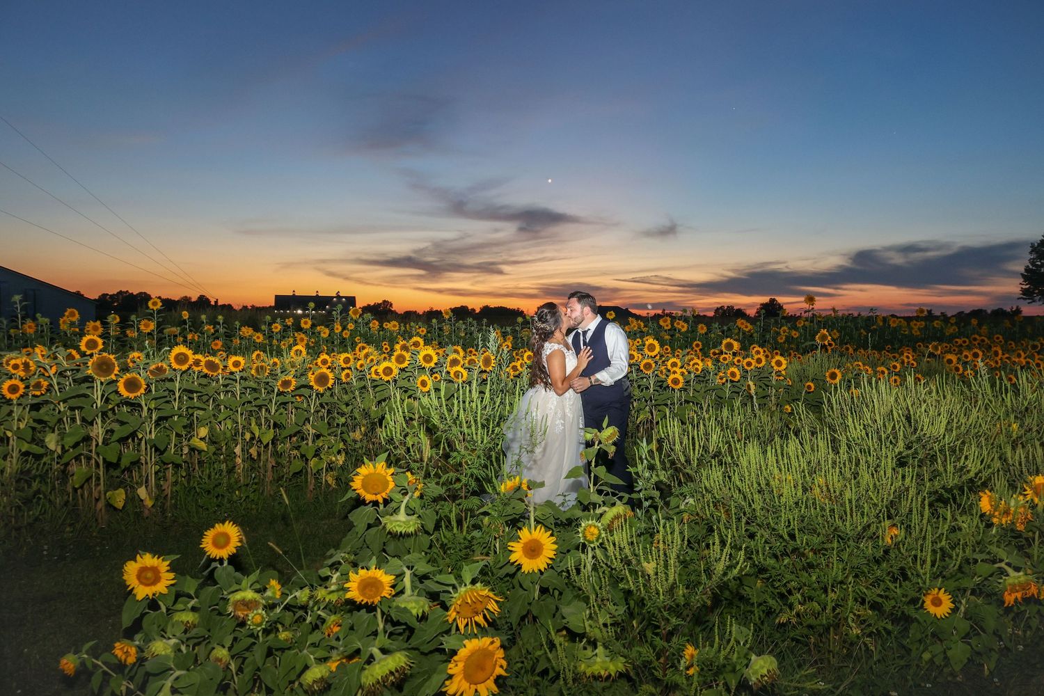 Wedding couple stands in a sunflower field at sunset creating a romantic silhouette.