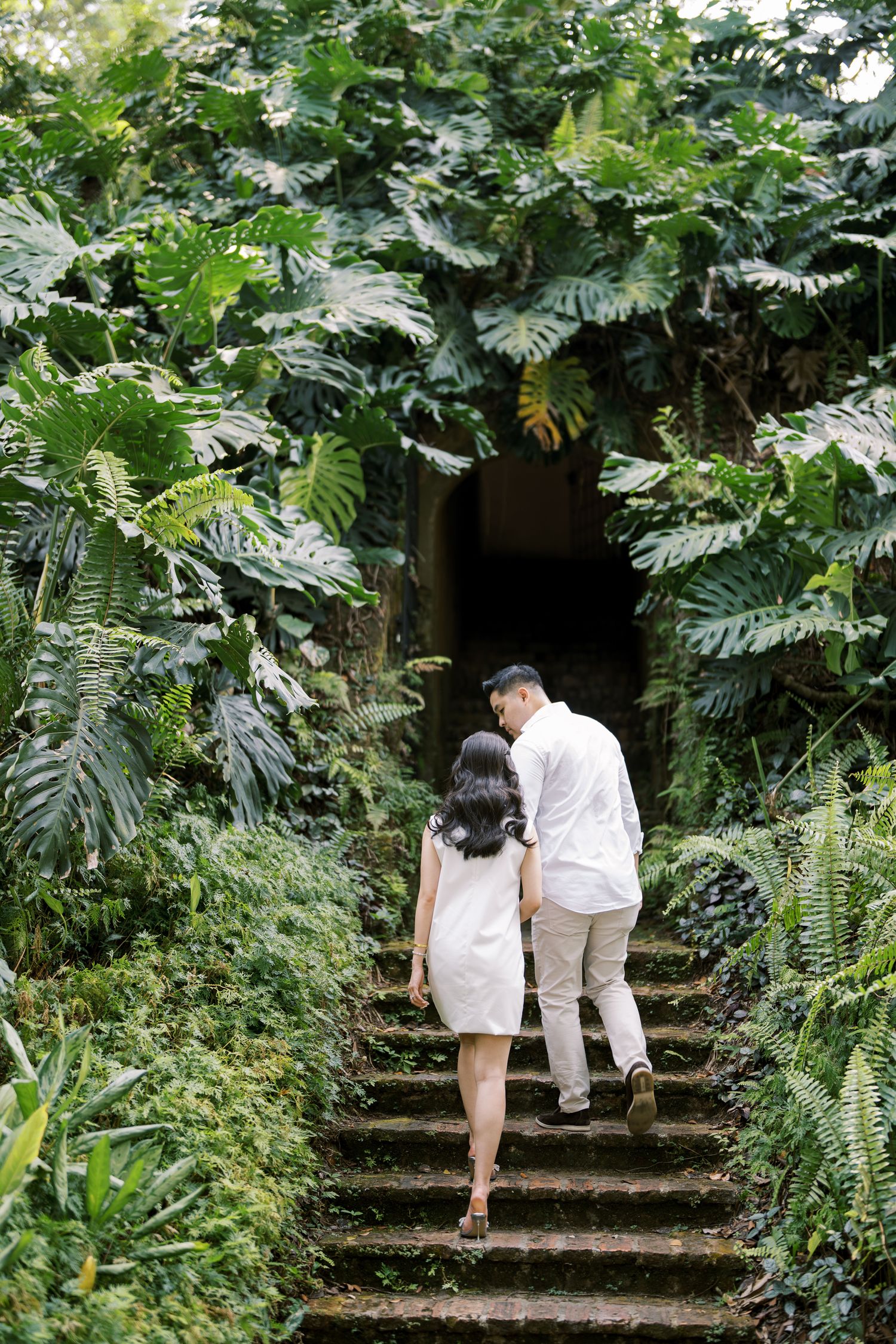 Stone steps surrounded by lush tropical foliage create romantic garden pathway.