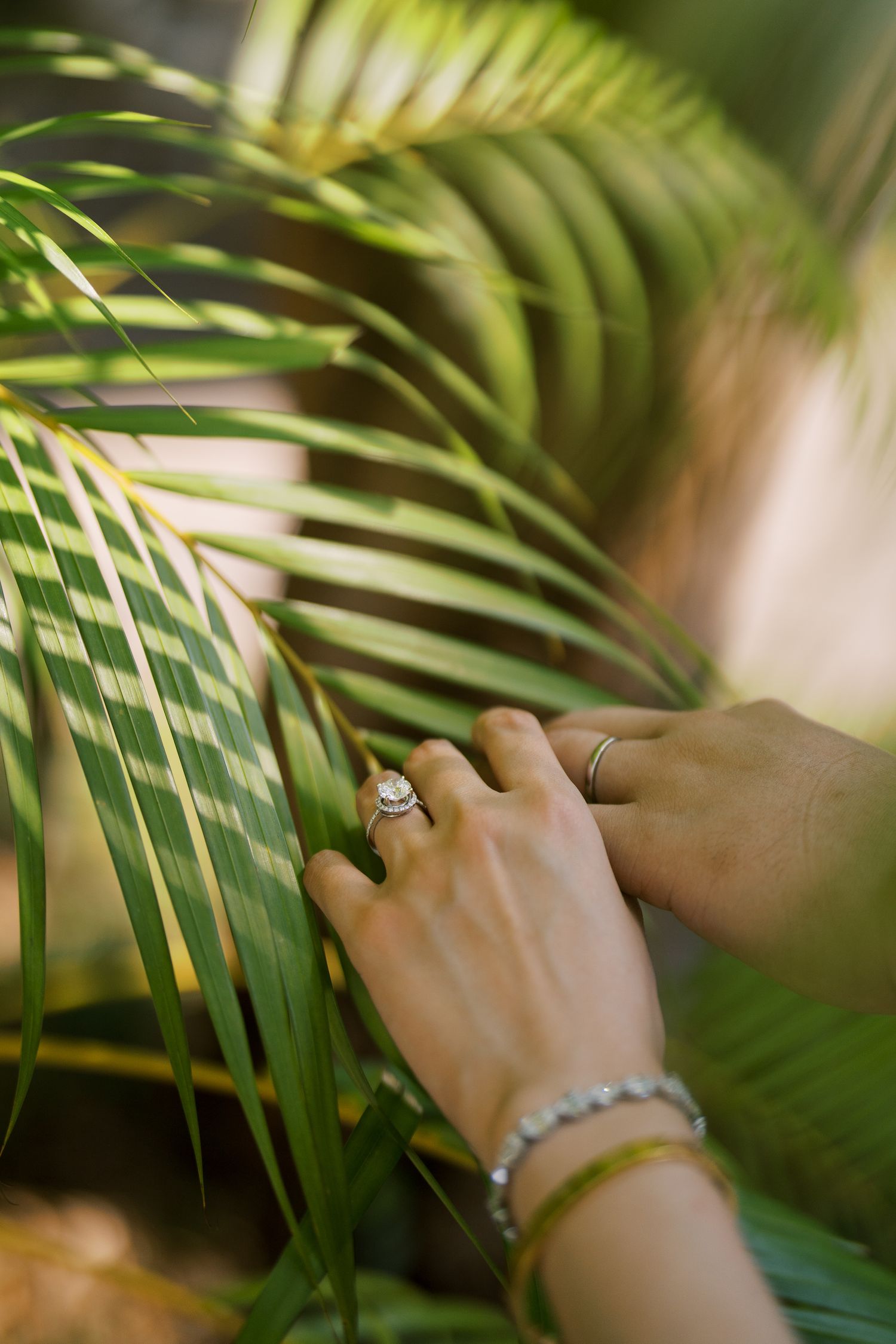 Close-up of hands wearing jewelry against tropical palm fronds in soft natural lighting.