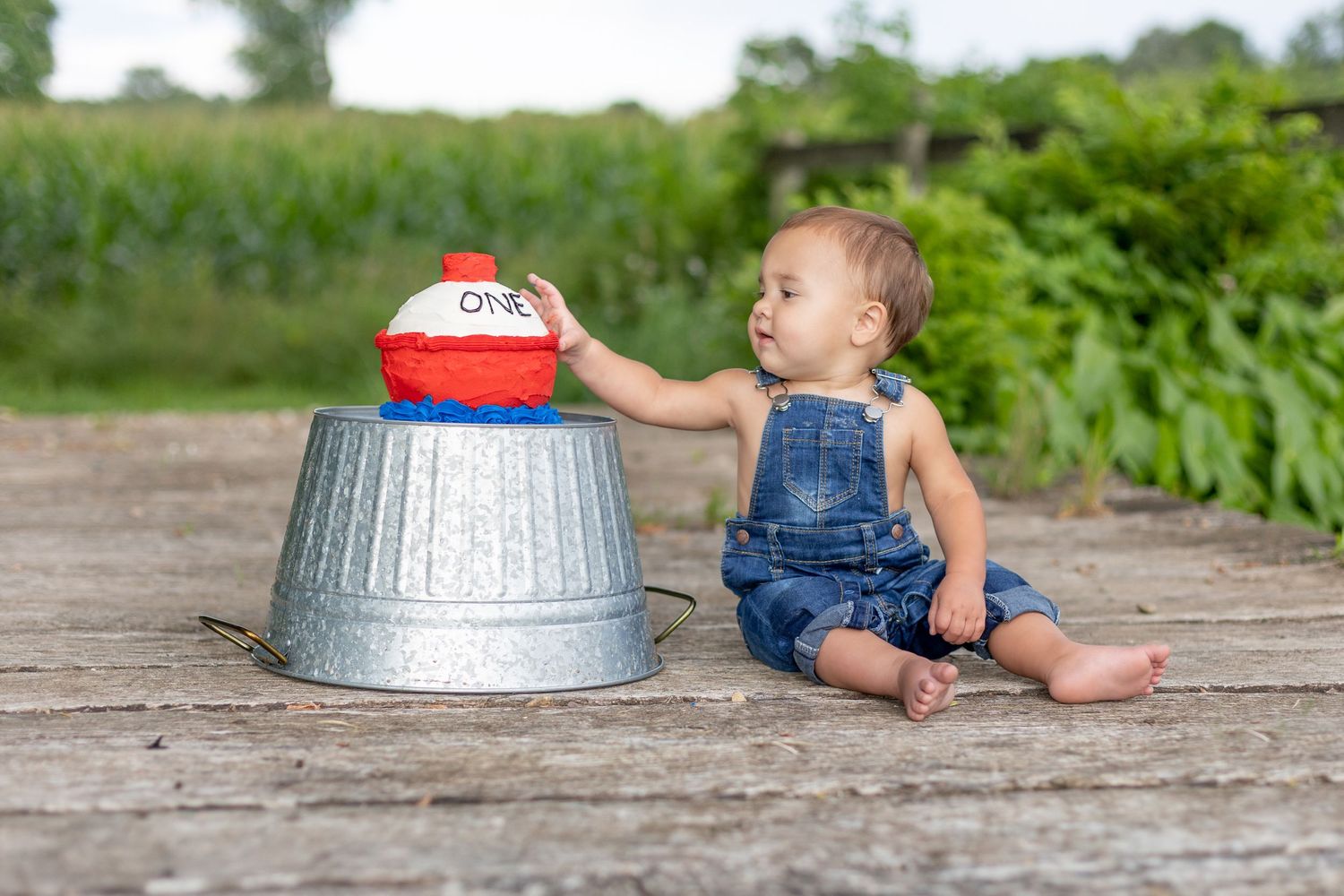 1st birthday photoshoot, Thomet Stables, Ada, Michigan