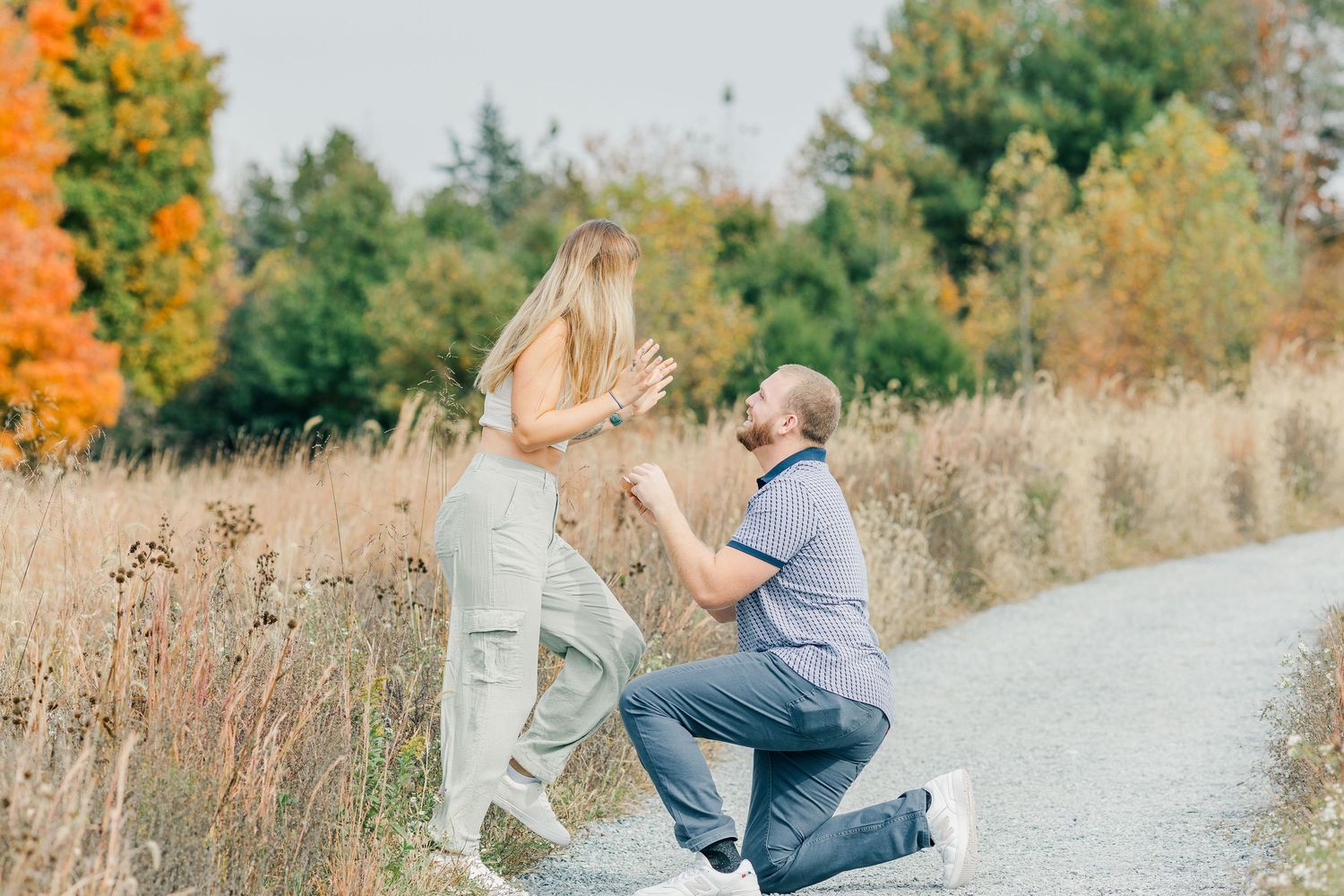northern virginia surprise proposal glenstone museum