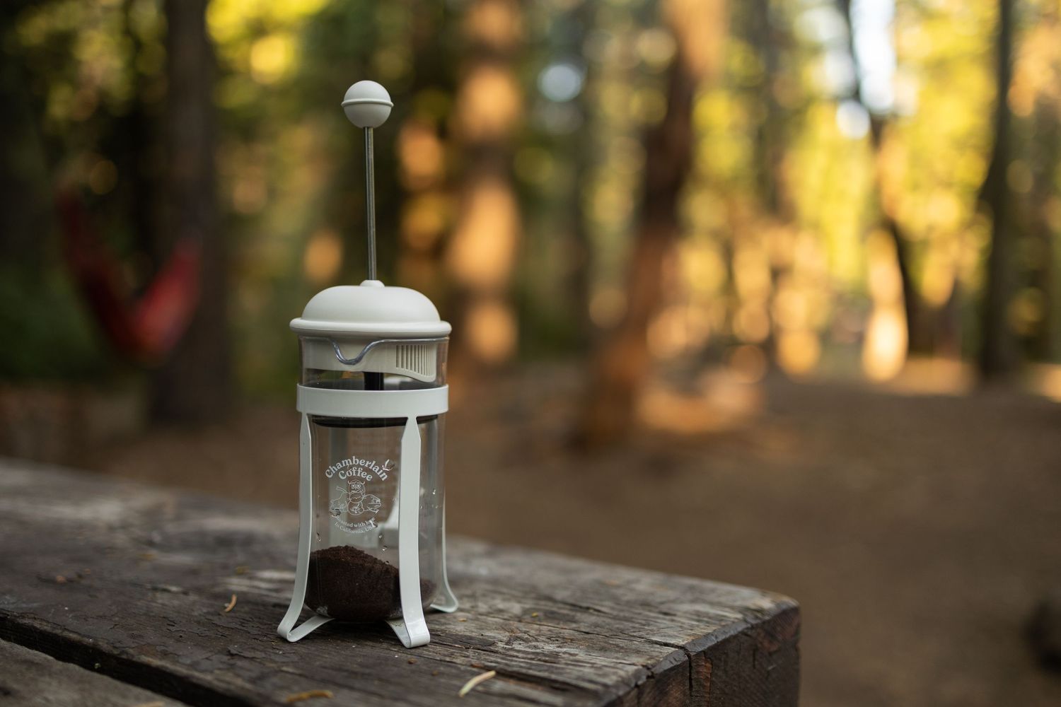 White French press coffee maker on a wooden surface in a forest setting with bokeh background.