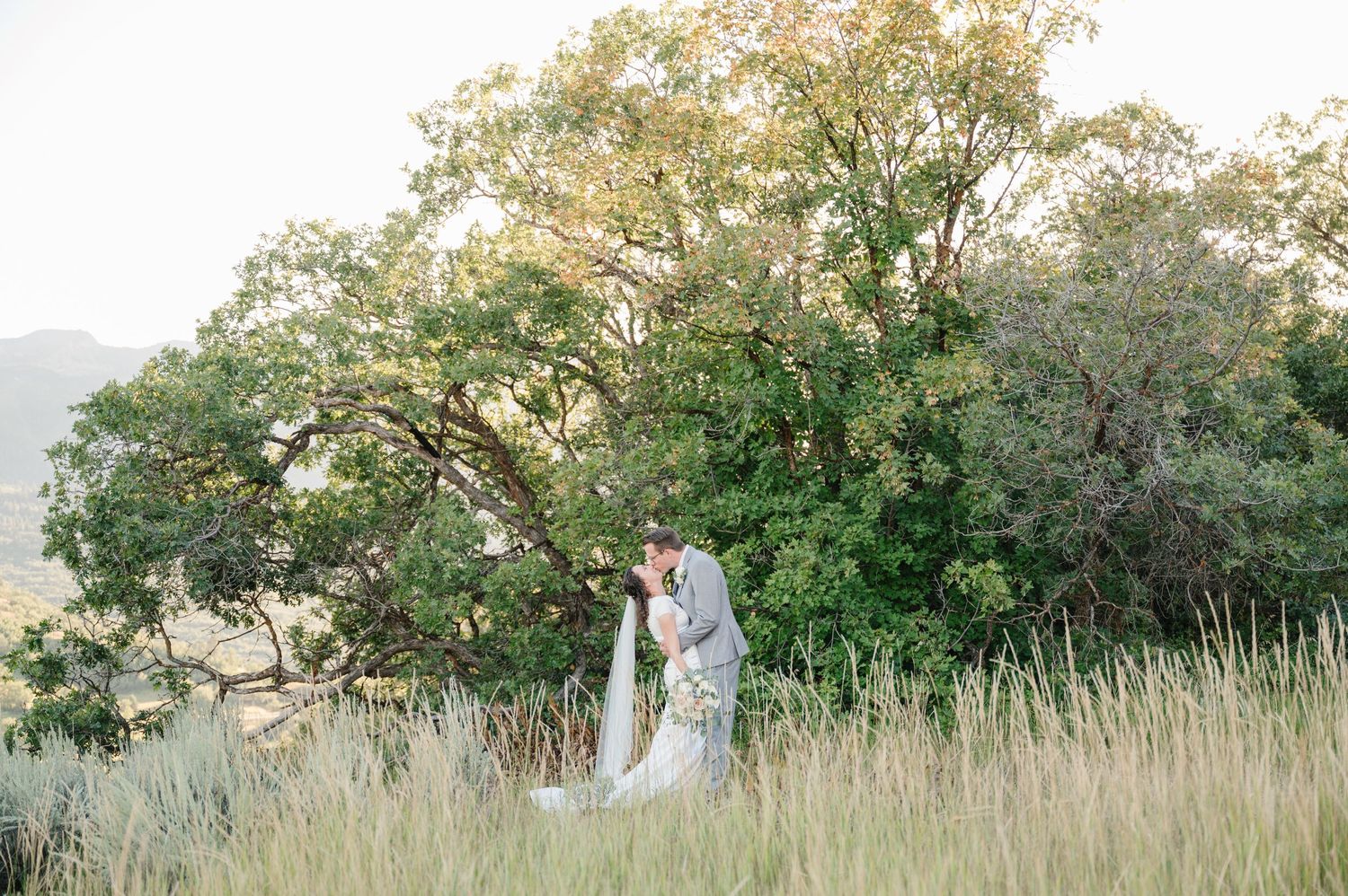 Newlyweds standing together in tall grass with large tree and mountain backdrop.