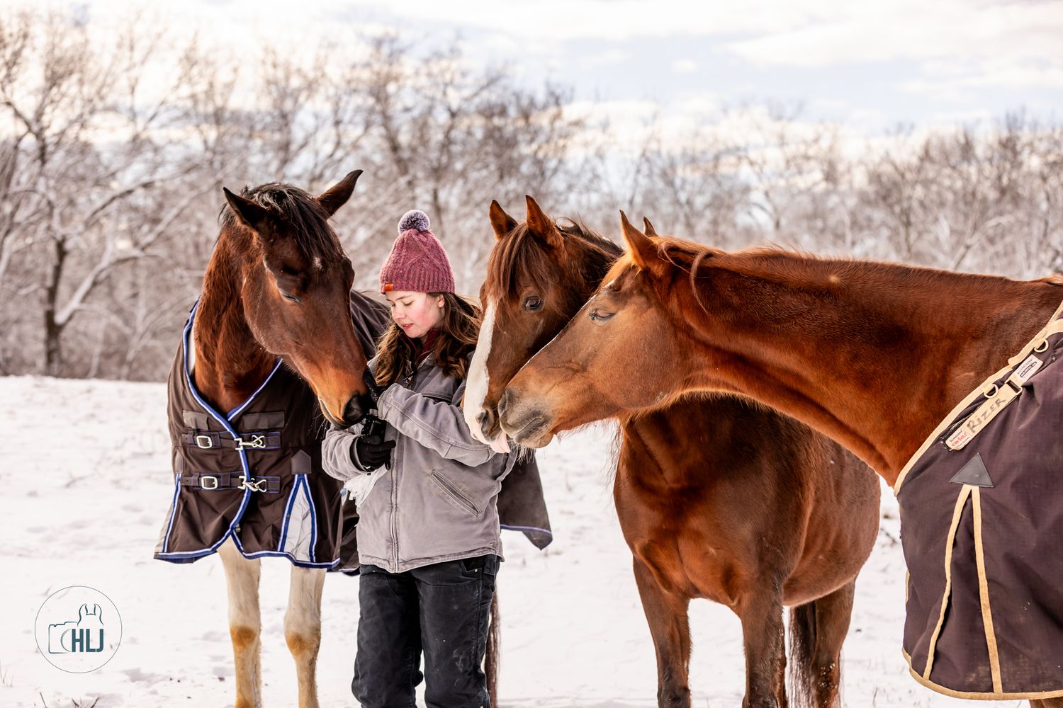 Two brown horses wearing winter blankets standing in snowy field during winter.