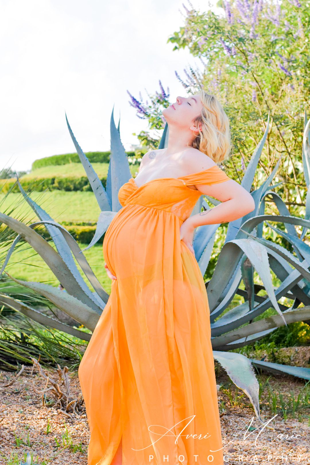 Maternity photo of woman in flowing orange dress posing near desert plants.