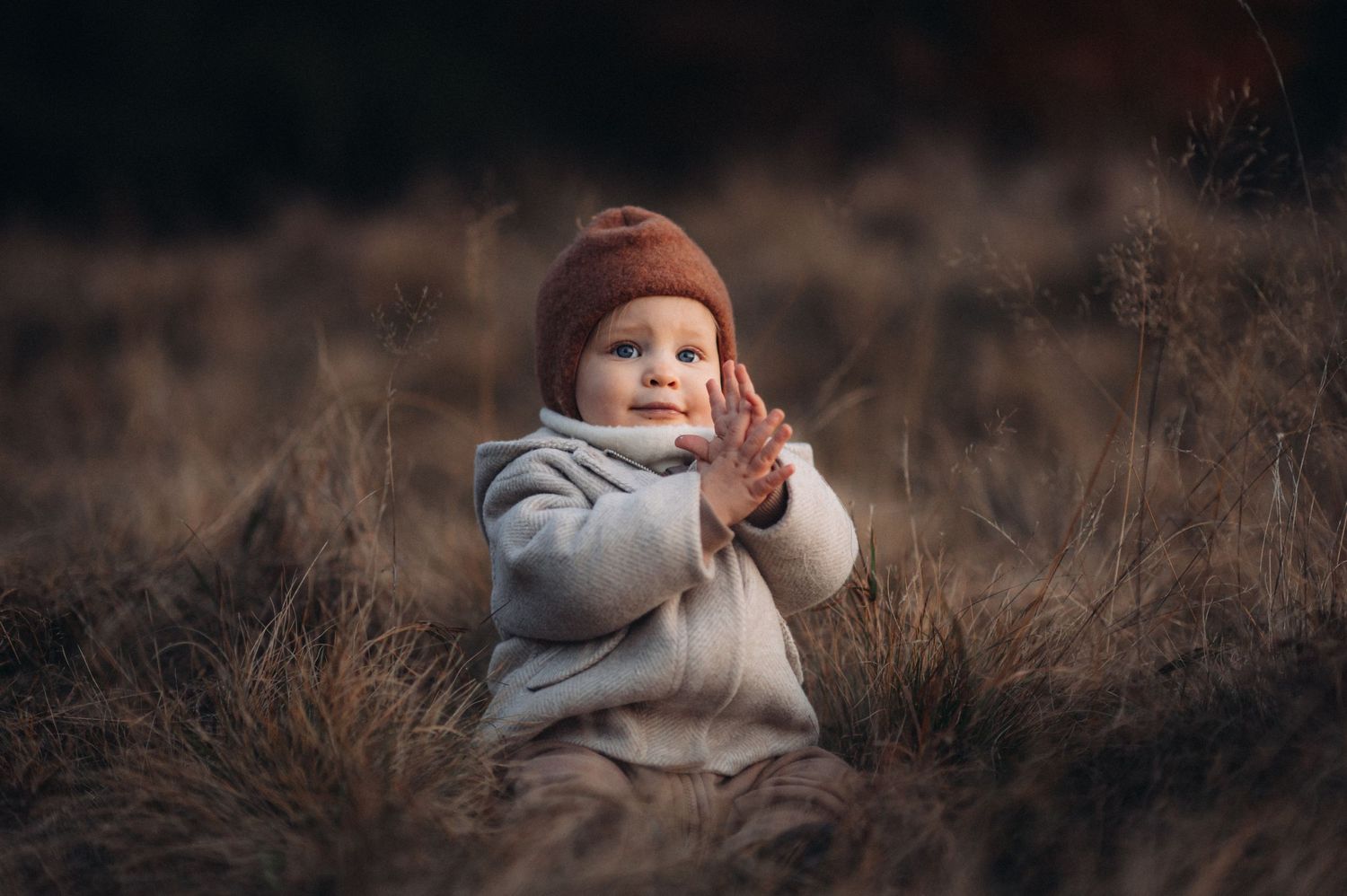 A small child wearing a gray sweater sits in tall brown grass during autumn.