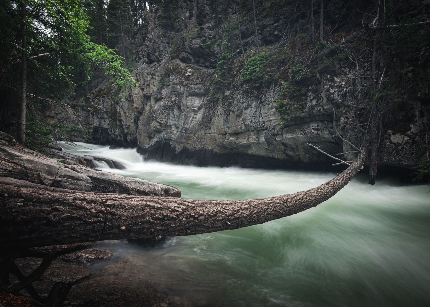 Dany Forget Photographe Amos, Val-d’Or, Rouyn-Noranda,Abitibi-Témiscamingue,paysage,nature,rivière,forêt
