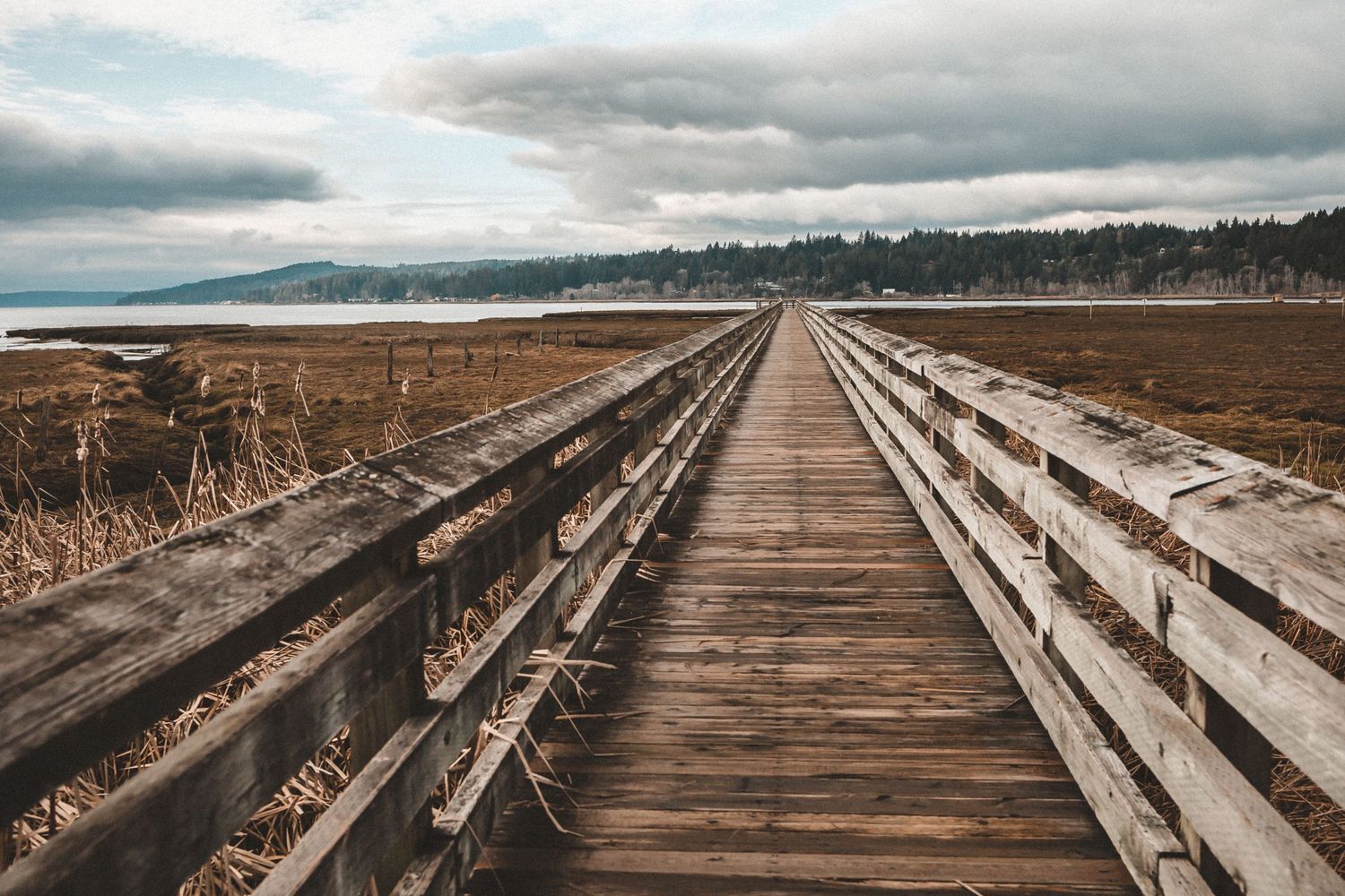 A landscape of a wooden bridge in wetlands leading to water.