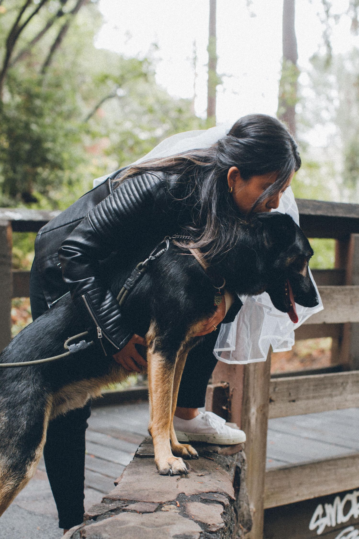 Person in leather jacket bending down to pet a German Shepherd dog on wooden deck.