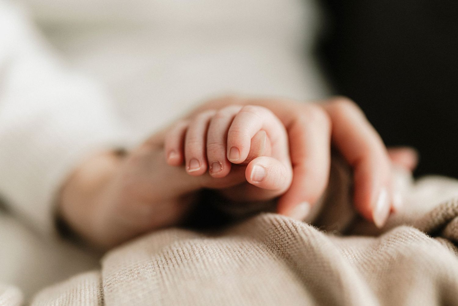 Gentle embrace captured in soft muted tones and natural lighting.