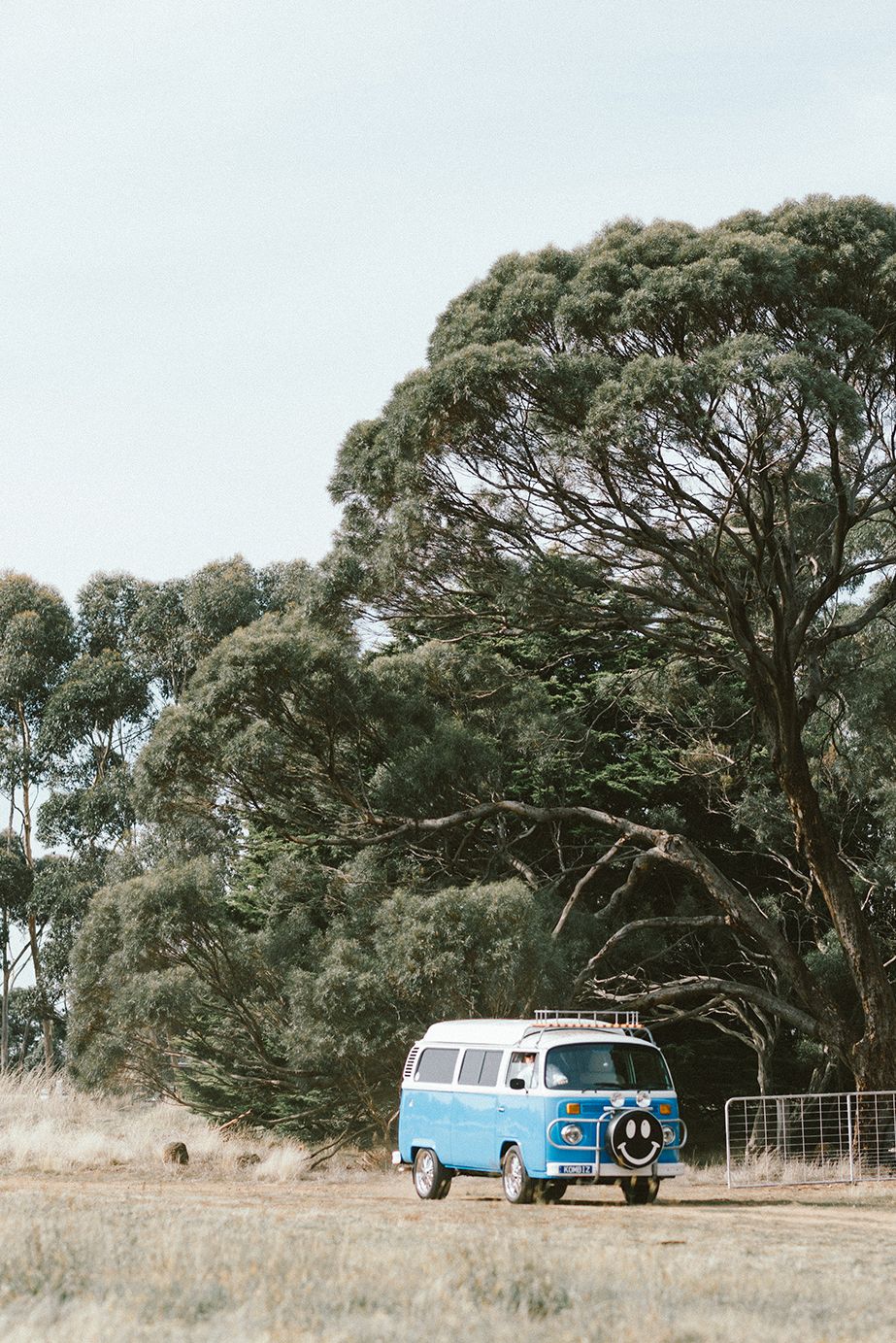 A vintage blue and white Volkswagen van parked near eucalyptus trees in an Australian countryside.