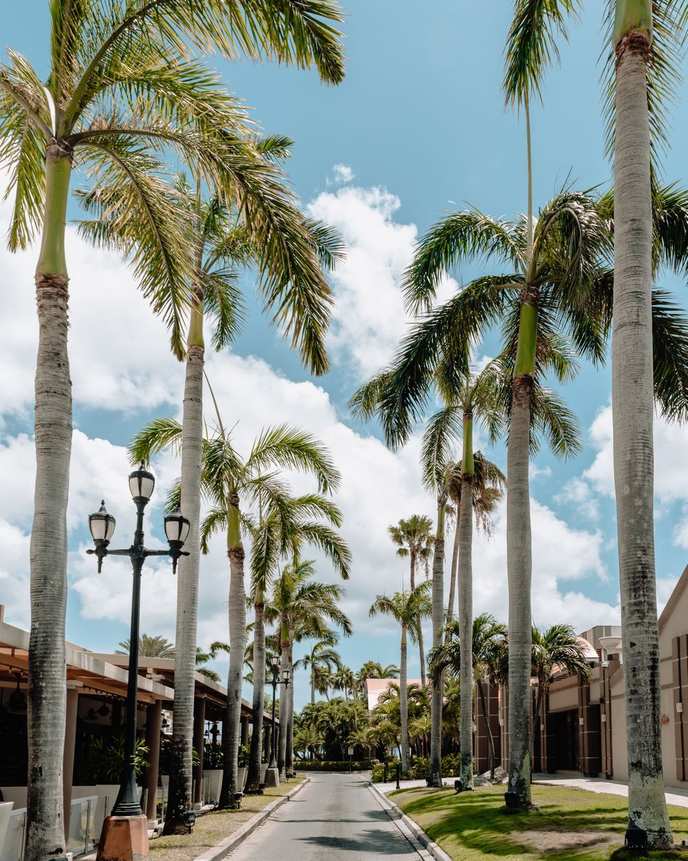 Aruba beach travel photos