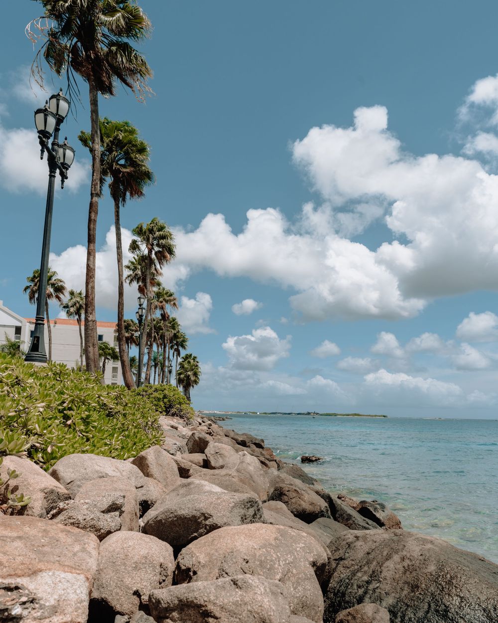 Aruba beach travel photos
