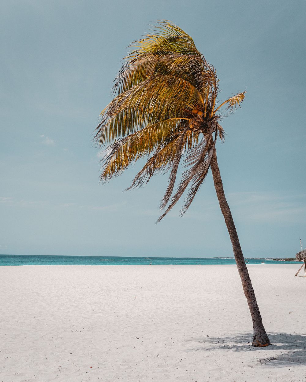 Aruba beach travel photos