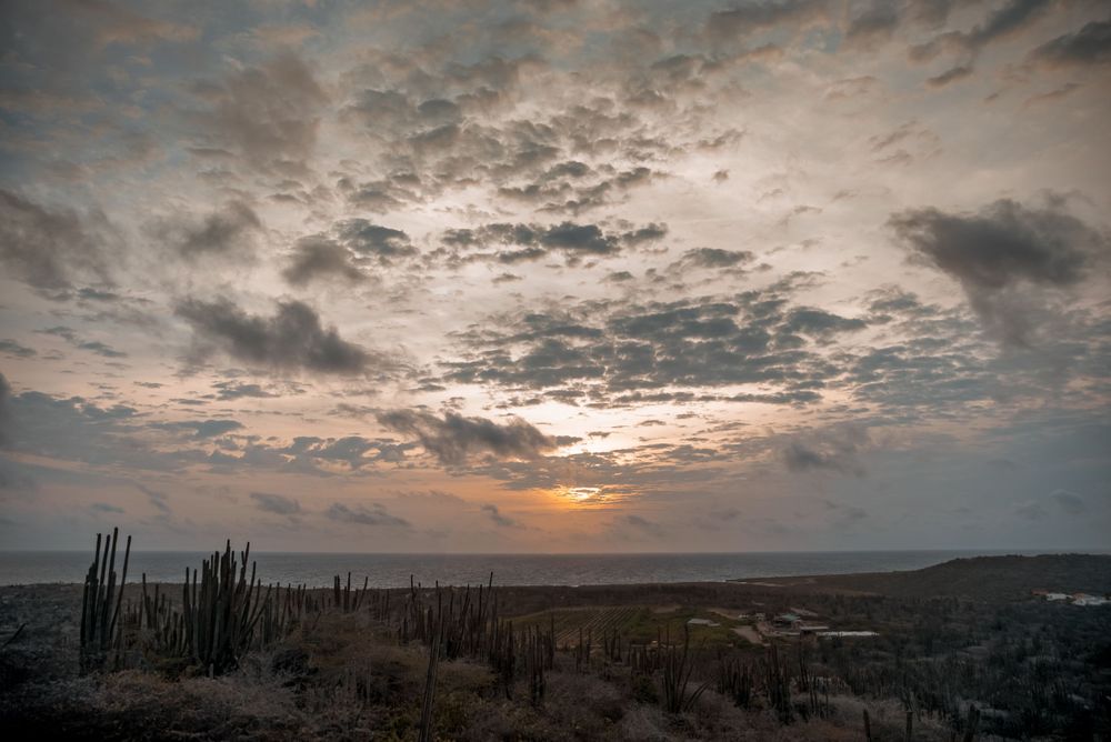 Aruba beach travel photos