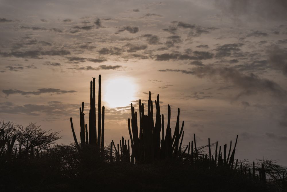Aruba beach travel photos