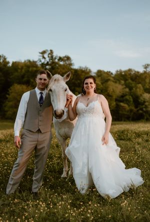 A wedding couple poses with a white horse in a sunlit meadow during golden hour.