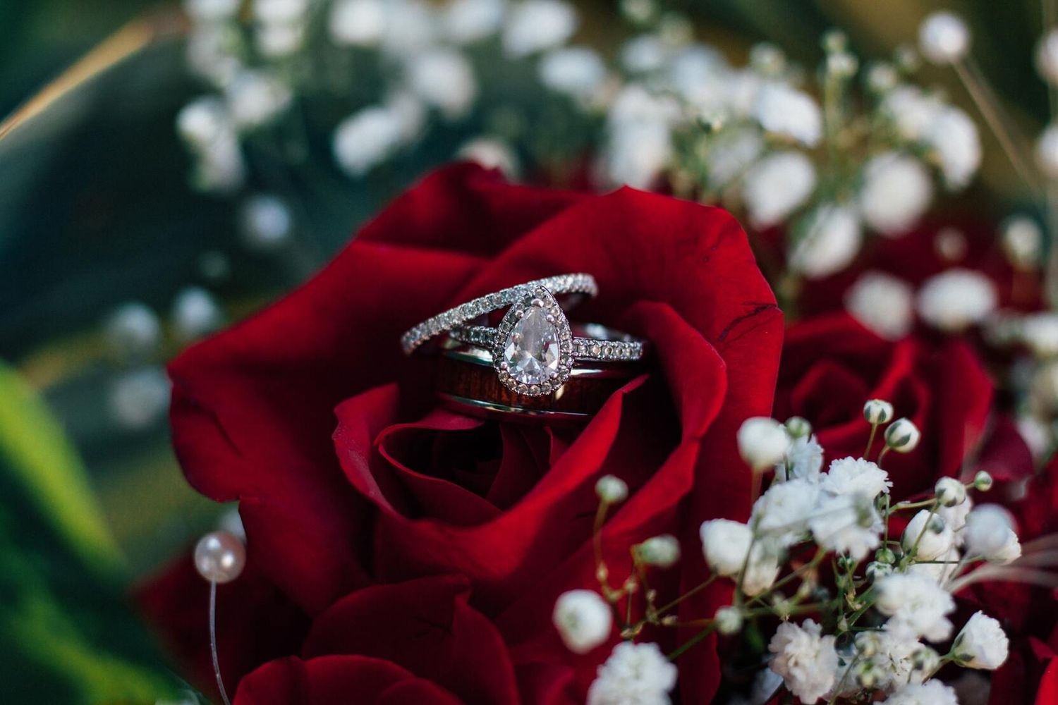 Engagement ring on red roses