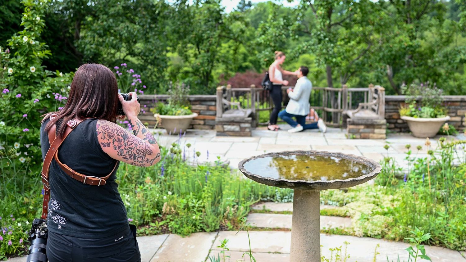 Surprise Proposal Photographer Services Washington DC
