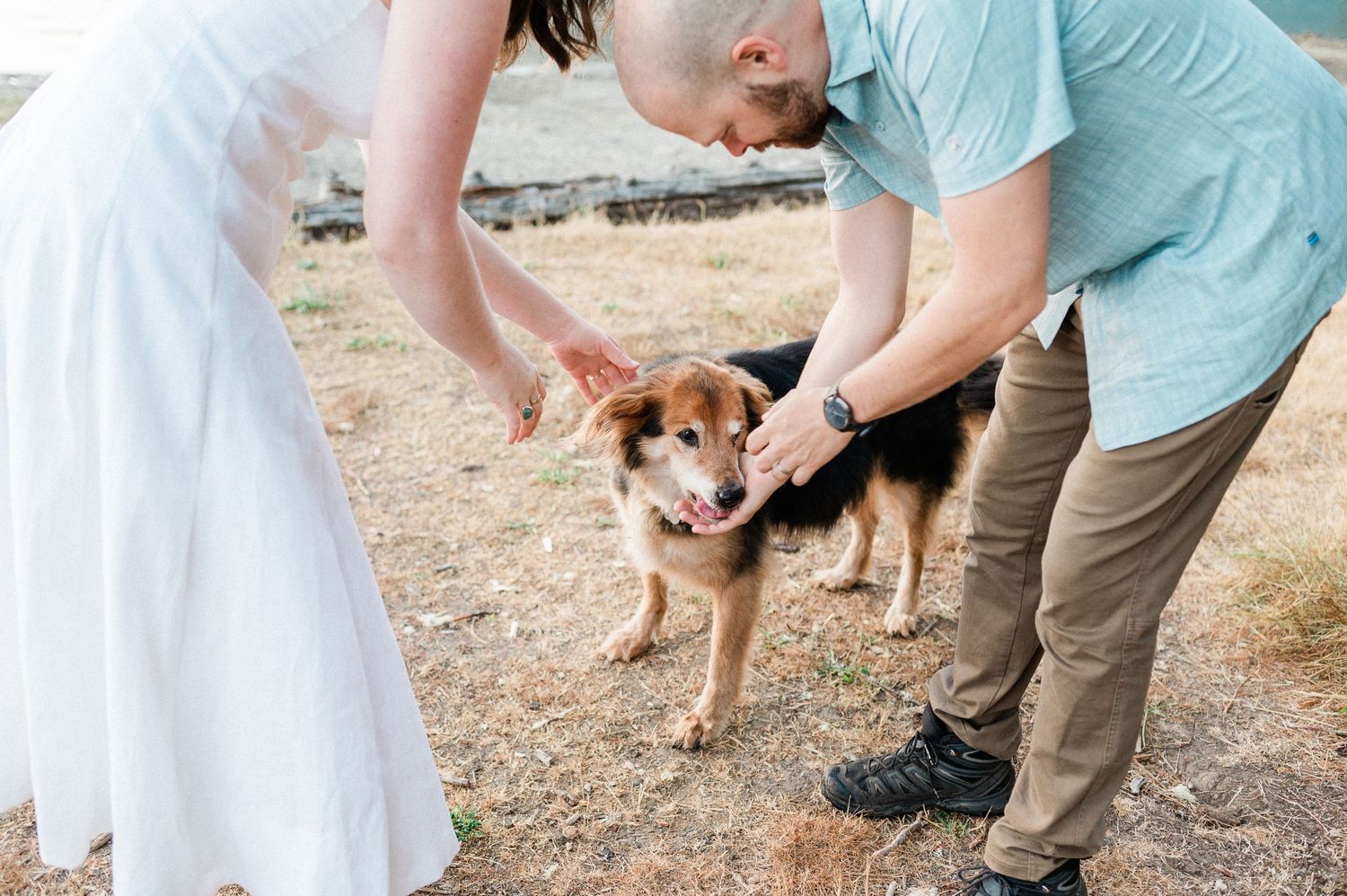 couple petting their dog before saying their vows. Photo by Pine + Vow.