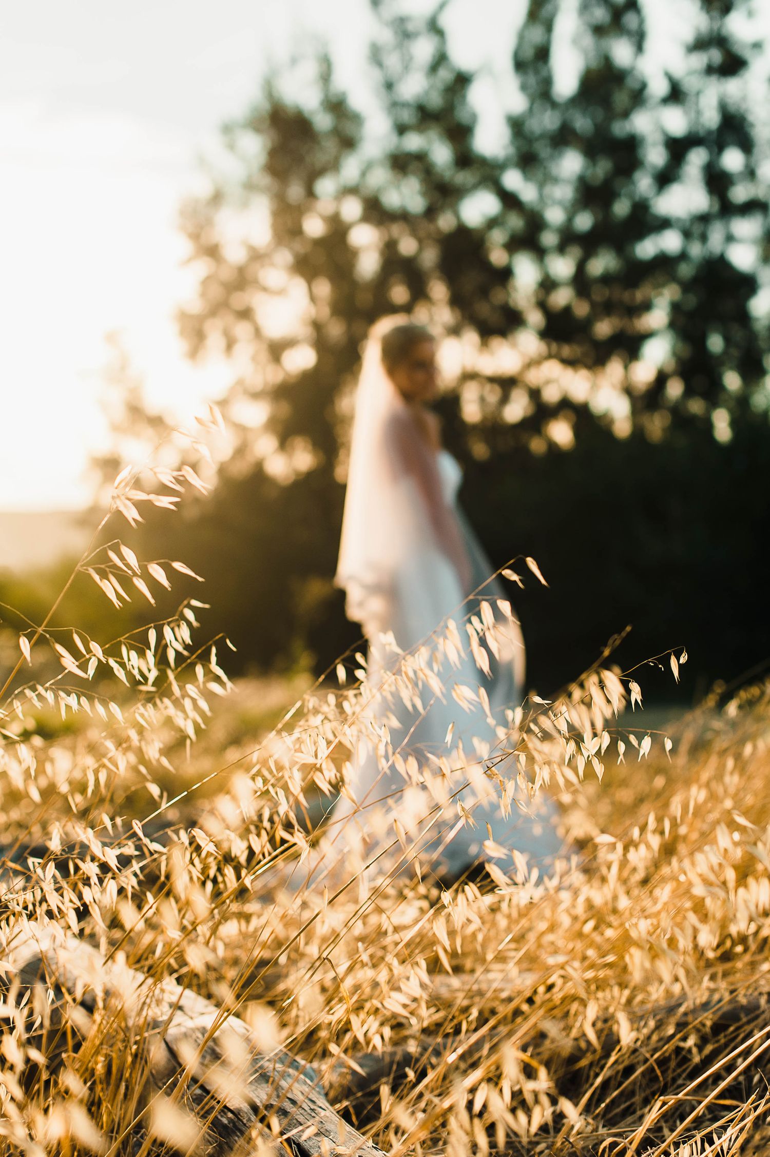 out of focus bride behind tall grass at sunset