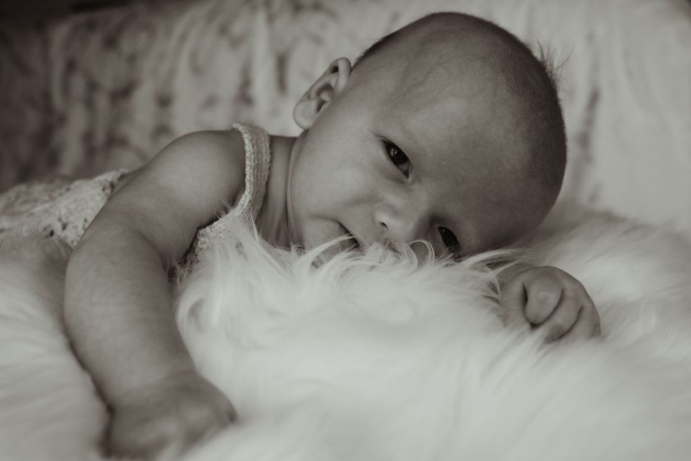 Newborn baby portrait