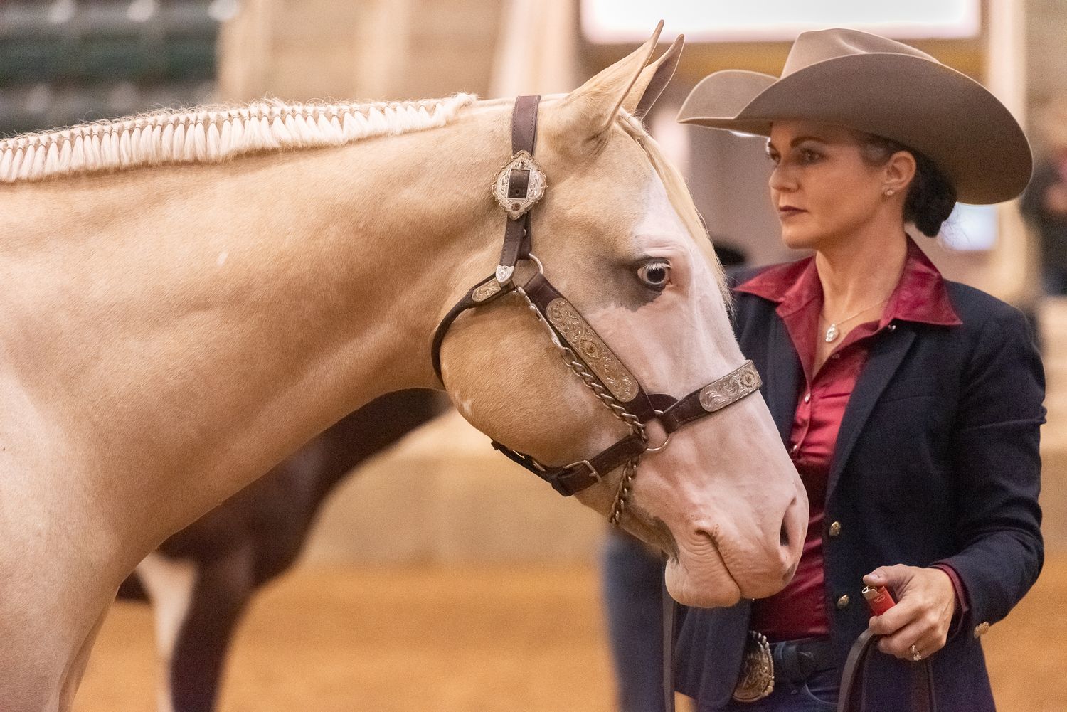 Neatly turned out cowgirl shows Palomino horse in halter class at APHA show in North Carolina.