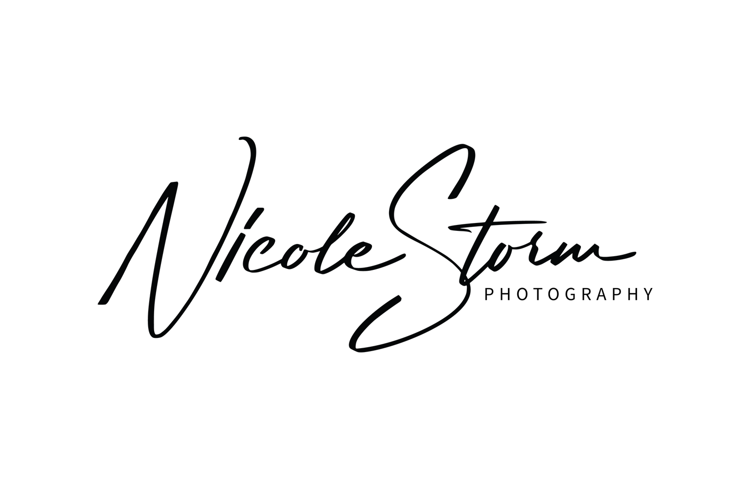 Logo Nicole Storm Photography