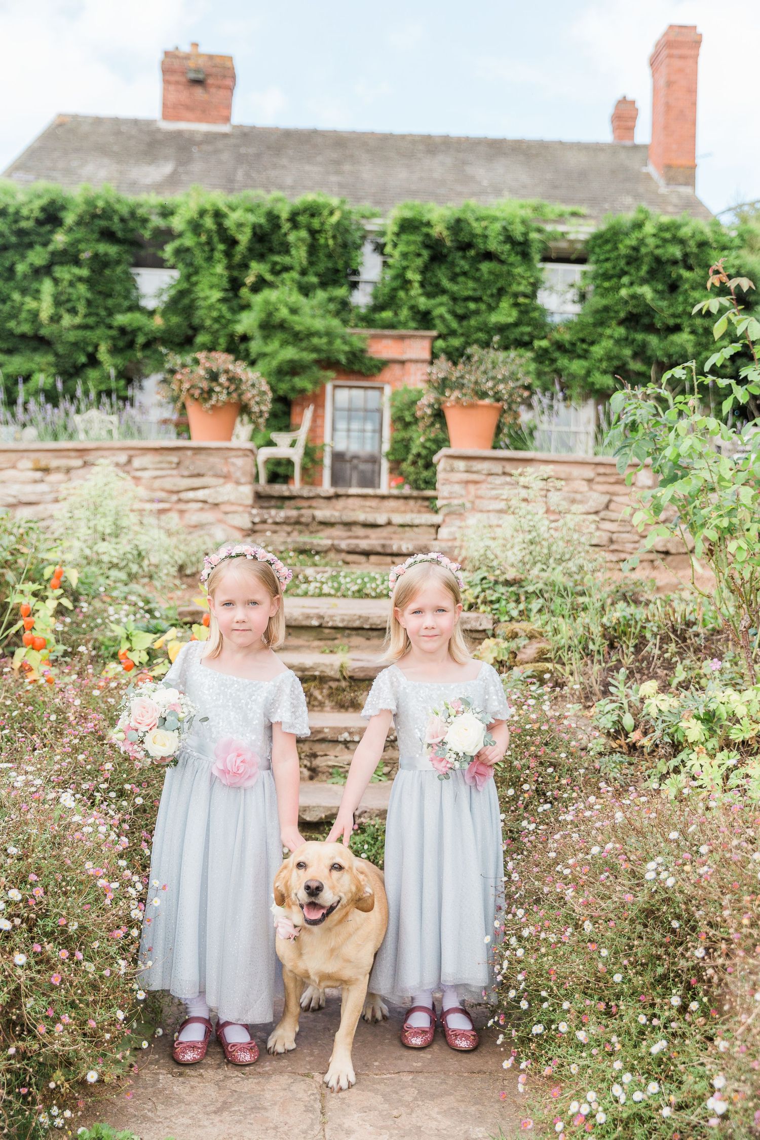 Hayley Elizabeth Photography Dogs at weddings lyde Arundel wedding labrador and twin girls portrait