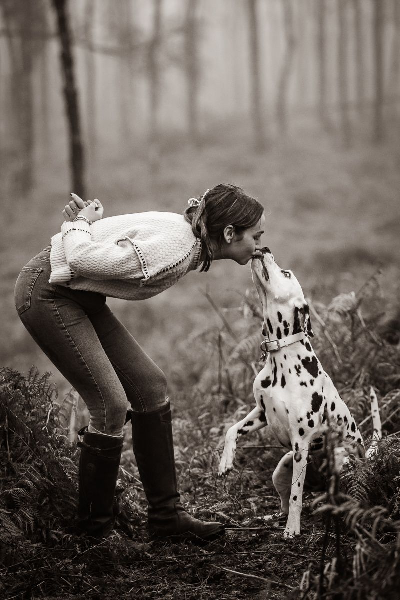 A playful moment between a Dalmatian and someone in a natural forest setting.